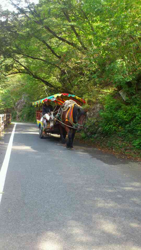 トテ馬車