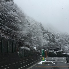 雪化粧