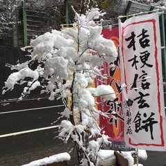 雪化粧