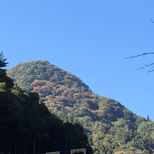 2016102795956.JPG
