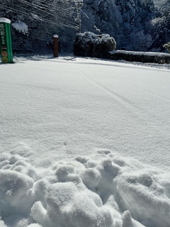 昇仙峡の降雪状況！