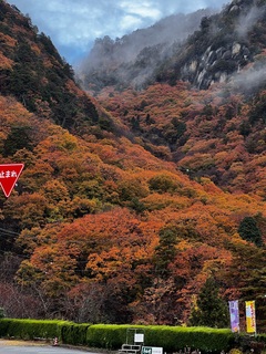 幻想的な風景