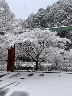 雪化粧