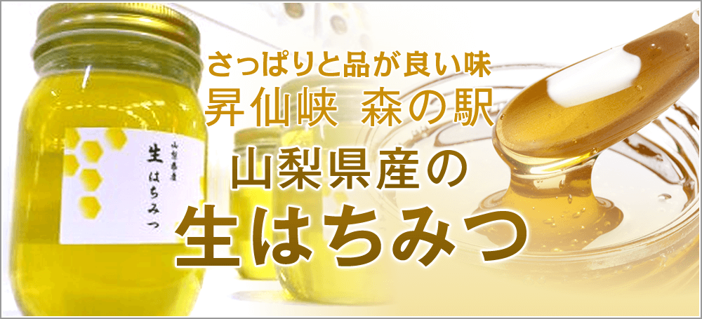 【昇仙峡森の駅】山梨県産の生はちみつ